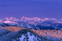 Alpenglow strikes the peaks of Glacier National Park from the summit of Big Mountain near Whitefish Montana von Danita Delimont