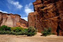 Canyon de Chelly National Monument by Danita Delimont