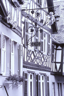 Half timbered buildings von Danita Delimont