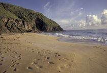 Footprints on Atlantic Beach von Danita Delimont