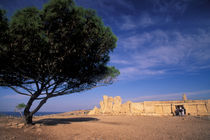 Malta Prehistoric Hagar Qim Temple by Danita Delimont