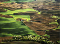 View of Palouse farm country cultivation patterns by Danita Delimont