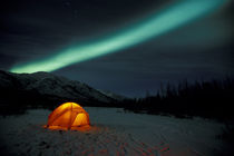 Curtains of green Northern Lights above the Brooks Range; tent in foreground von Danita Delimont