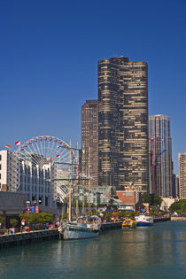 A view of Chicago's Navy Pier von Danita Delimont