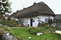 Thatched-roof cottage surrounded by garden by Danita Delimont