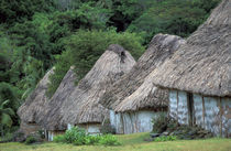 Traditional hut houses von Danita Delimont