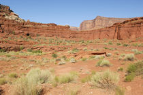 Shafer Canyon von Danita Delimont