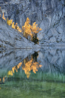 Reflected in Lake Vivian von Danita Delimont