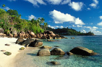 Anse Royale Beach von Danita Delimont