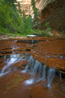 Scenic from the Subway on the Left Fork by Danita Delimont