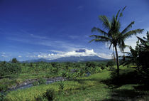 Mount Agung von Danita Delimont