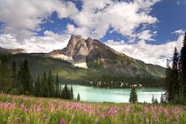 View of Emerald Lake and surrounding wilderness by Danita Delimont