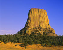 Devils Tower National Monument in Wyoming by Danita Delimont
