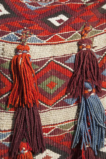 Camel blanket at the Pyramids of Giza by Danita Delimont