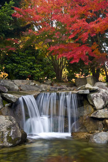 Fall color in a park von Danita Delimont
