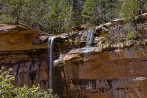Water Falls at the Lower Emerald Pools by Danita Delimont