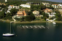 Fish farming along the coast of Minorca by Danita Delimont