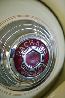 Packard Automobile Hubcap Detail by Danita Delimont