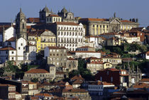 Historic houses and Cathedral in the Ribeira district von Danita Delimont