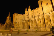 Papal Palace at night von Danita Delimont