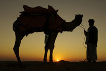 A man and his camel Silhouetted at sunset on the sand dunes in Jalsamer India by Danita Delimont
