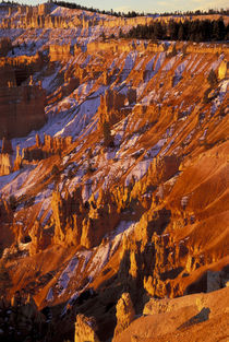 Bryce Ampitheater from Sunrise Point by Danita Delimont