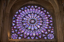 Interior detail of stained glass window in Notre Dame Cathedral by Danita Delimont