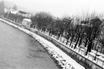 The bank of the River Salzach in winter von Danita Delimont