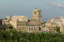 Town View from Rocca di Cerere von Danita Delimont