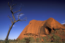 Uluru (Ayers Rock) by Danita Delimont