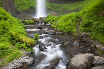 Latourell Falls and Latourell Creek von Danita Delimont