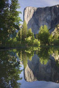 El Capitan reflected in Merced River von Danita Delimont