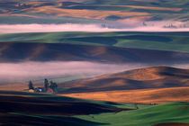 Steptoe Butte view of fog and white barn in green and brown Palouse hills von Danita Delimont