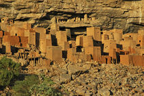 Traditional Tellem (malian pygmees) houses on the Bandiagara cliffs von Danita Delimont