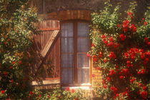 House with summer roses in bloom von Danita Delimont