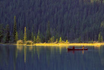 Two boys paddling canoe on Waterfowl Lake von Danita Delimont
