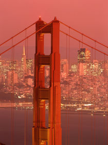 Golden Gate Bridge and city skyline by Danita Delimont