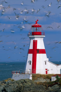 East Quoddy lighthouse von Danita Delimont