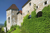 Ljubljana: Castle Hill / Ljubljana Castle von Danita Delimont