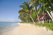 Traditional hut on pristine beach von Danita Delimont