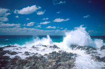 Waves in the Grand Cayman Islands von Danita Delimont