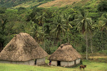 Traditional Bure houses von Danita Delimont