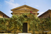 Old Rose Covered Church in Tuscany von Danita Delimont