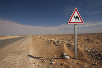 Oil Pipeline road with camel crossing sign by Danita Delimont