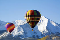 Hot Air Balloons In the Blue Sky by Danita Delimont