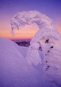 Snowghost in the Whitefish Range at Twilight in Montana by Danita Delimont