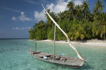 Traditional Maldivian boat in front of palm lined white sand beach von Danita Delimont