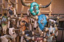 Decorative Cow Skulls / Western Motif by Danita Delimont