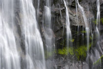 Narada Falls von Danita Delimont