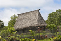 Polynesian Cultural Center by Danita Delimont
